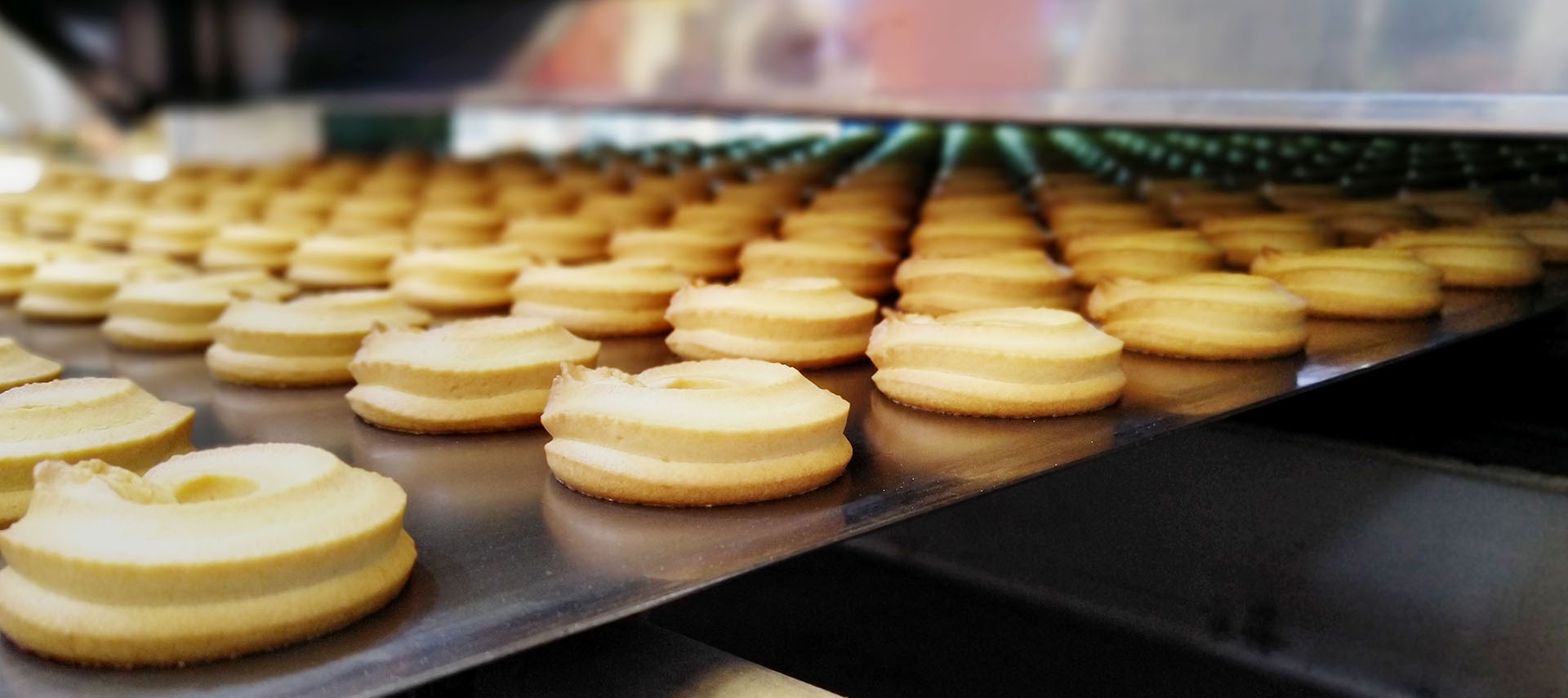 烘焙爐專用鋼帶